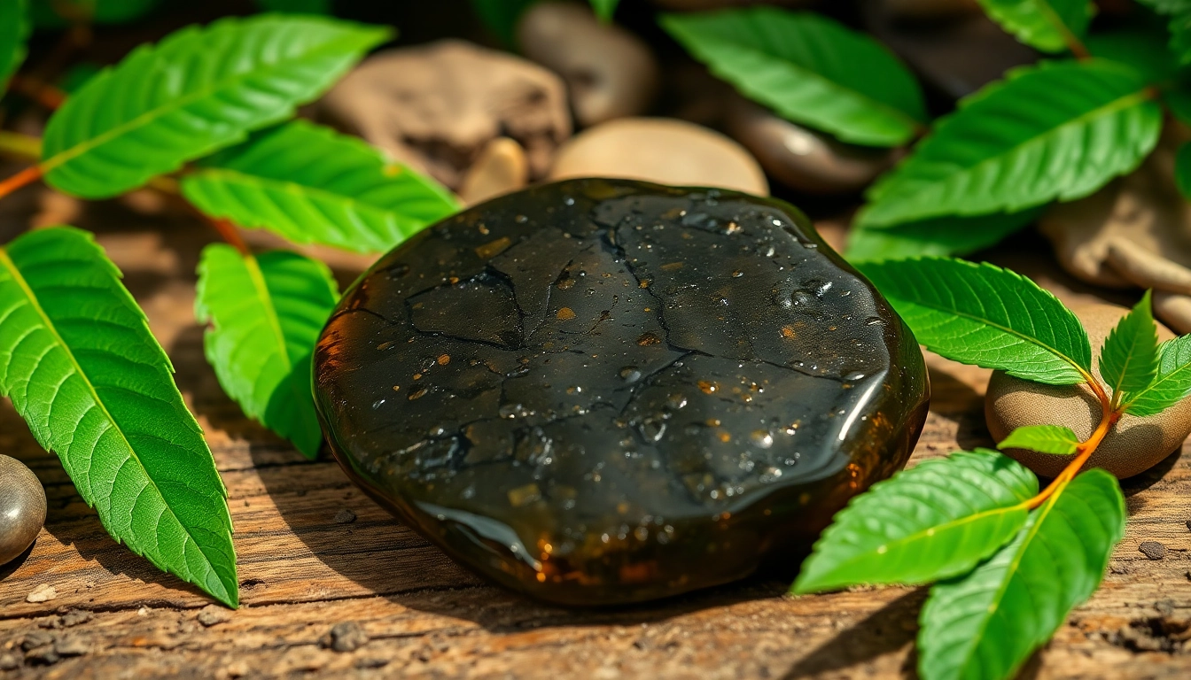 Highlighting authentic Shilajit Australia resin surrounded by natural elements.
